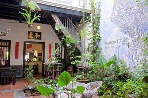 The Baboon House
